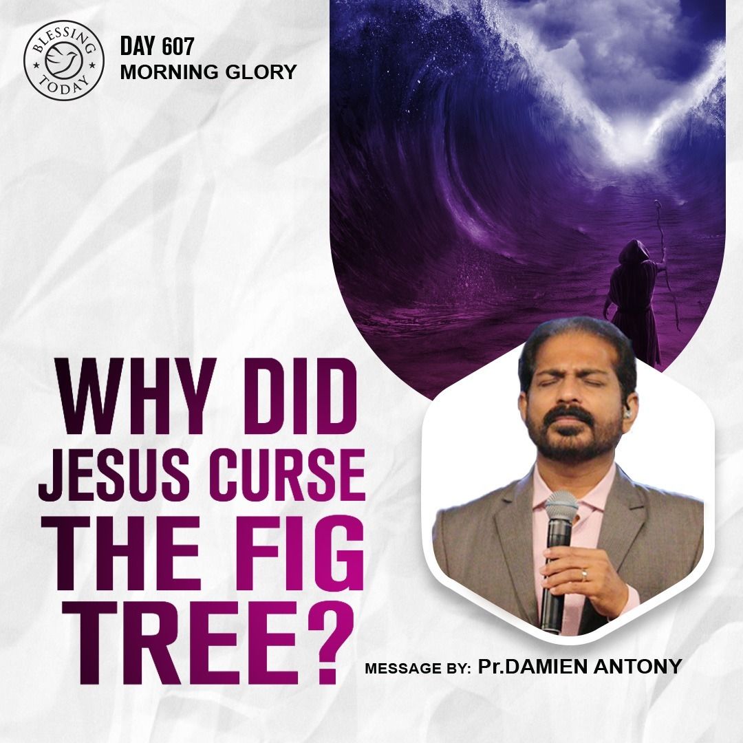 Why Did Jesus Curse The Fig Tree? Blessing Today