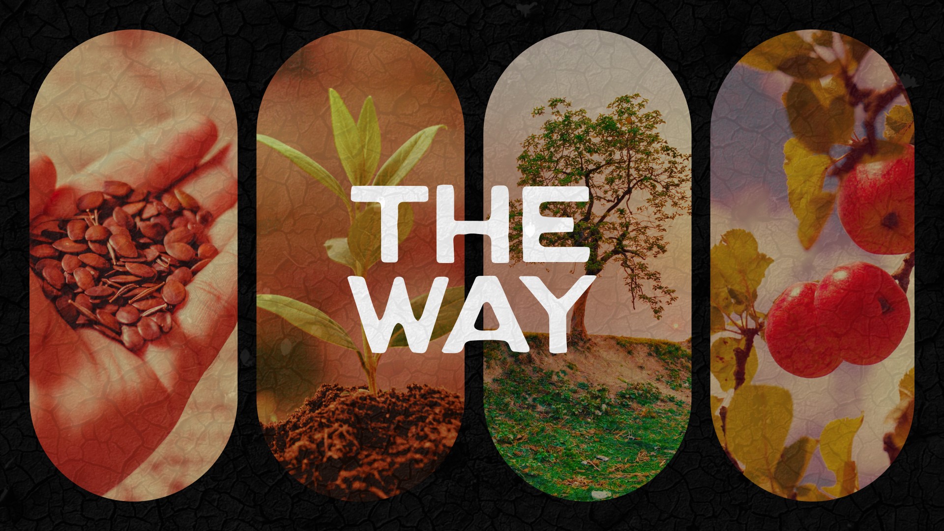 The way day 020 luke 20 the summit church north canton ohio