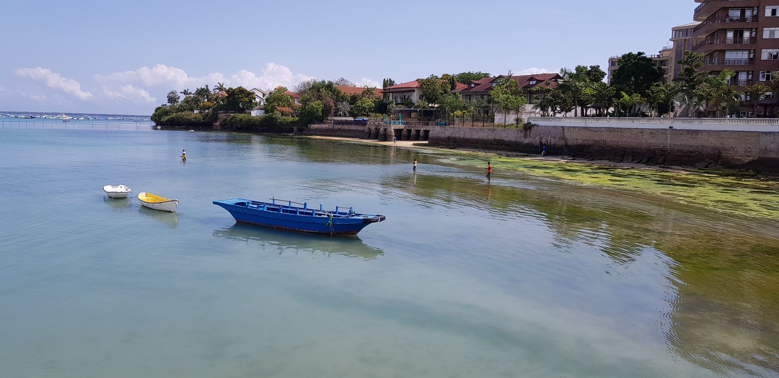 Scuba Diving in Tanzania DAN Southern Africa