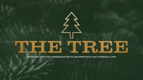 News and Events for First Baptist Church Sevierville