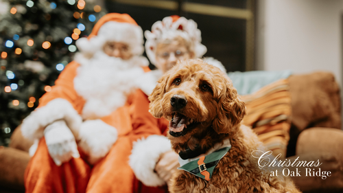 Santa Claus pics with pups