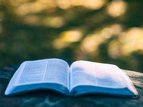 Join us for bible study!