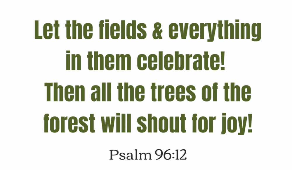 NDNT Bible Verse