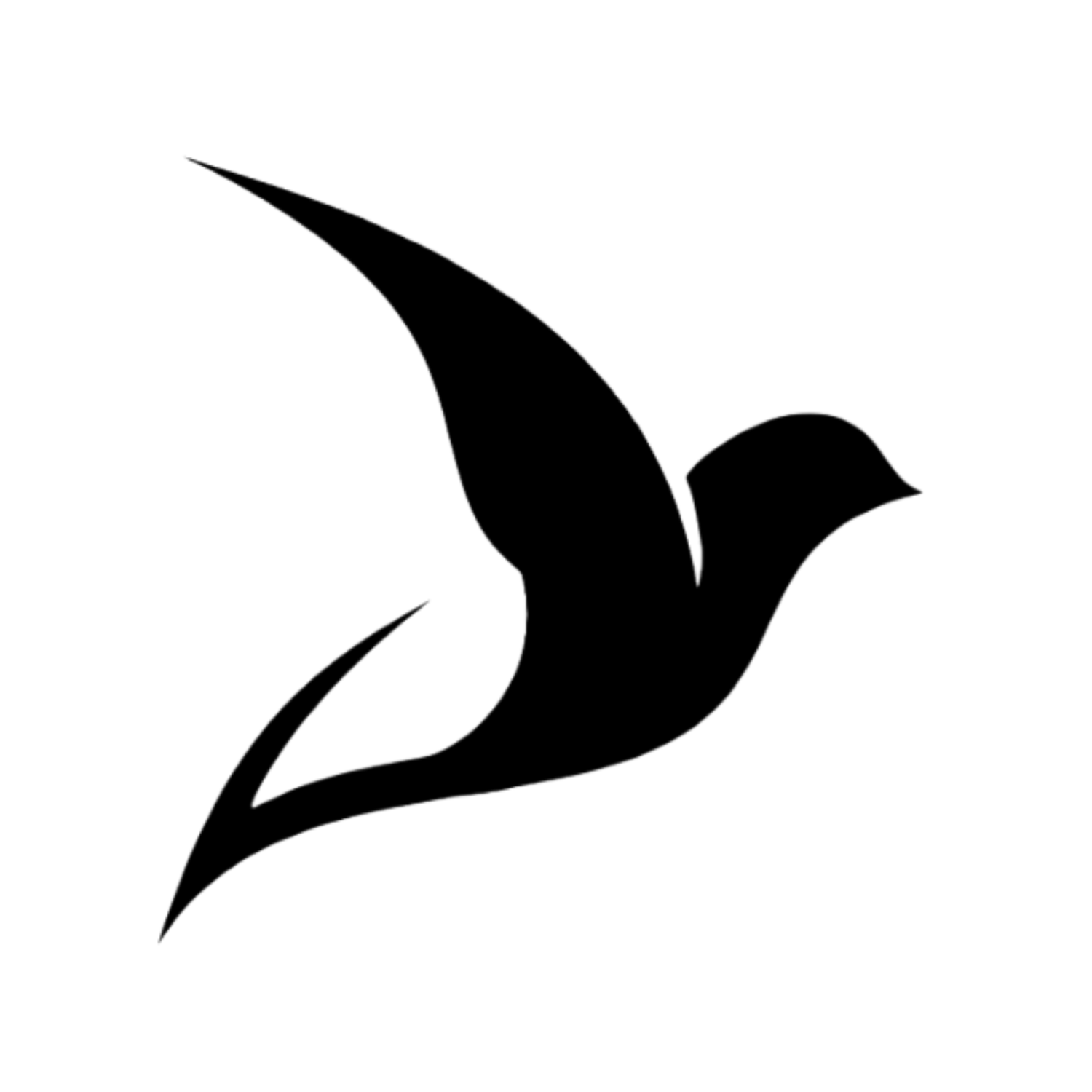 DCM Logo