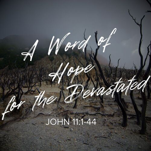 Sermon Series