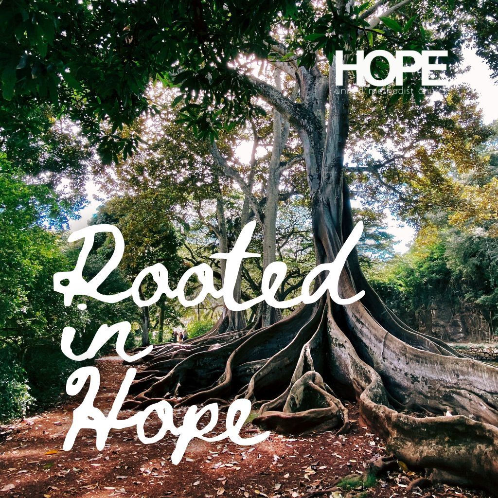 Rooted in Hope October 4, 2025 | Hope United Methodist Church