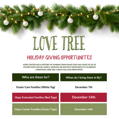 Hope Center Tech Team Volunteer Registration