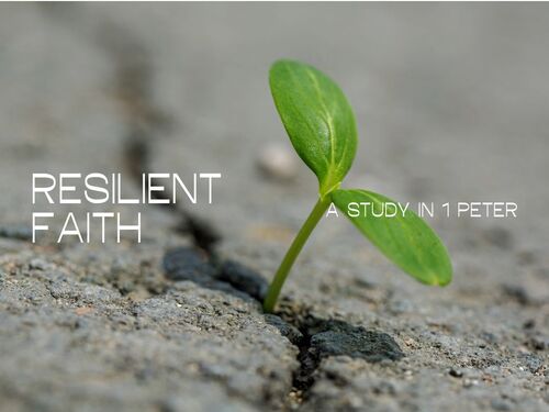 encountering sermon series