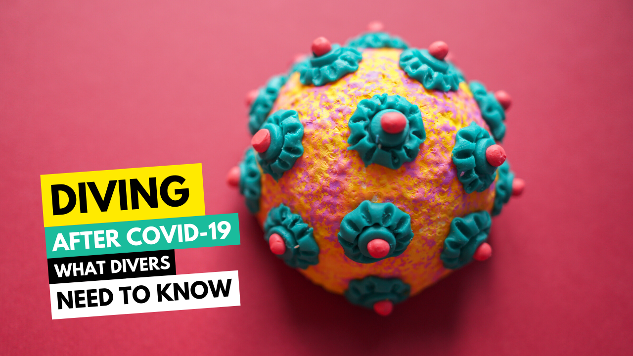 Diving After COVID 19 What Divers Need to Know DAN Southern Africa